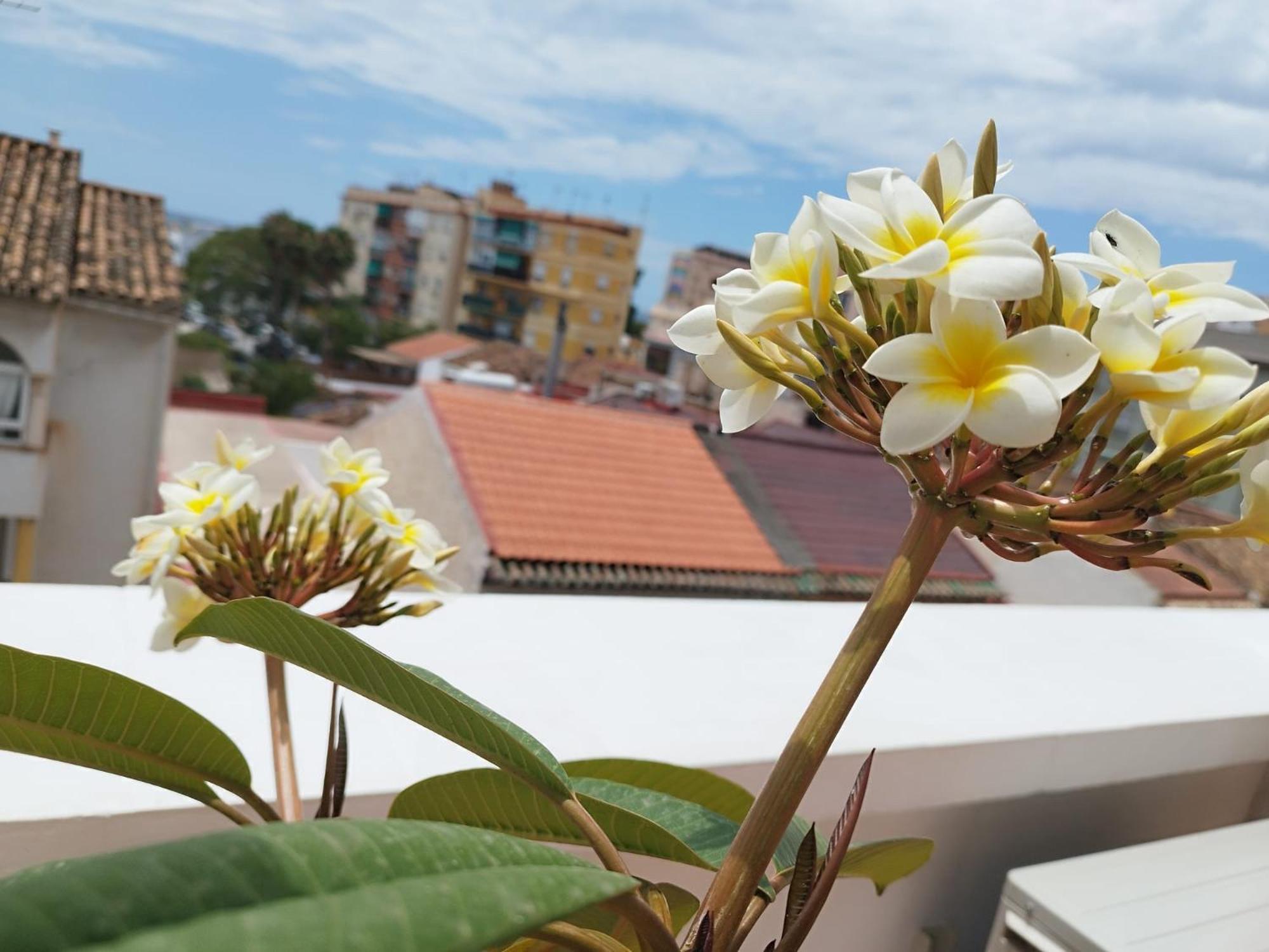 Apartamento Plumaria Malaga Luaran gambar