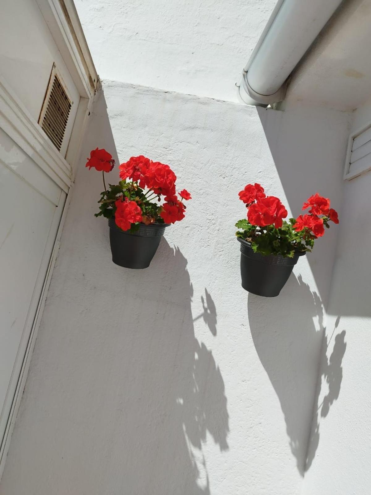 Apartamento Plumaria Malaga Luaran gambar